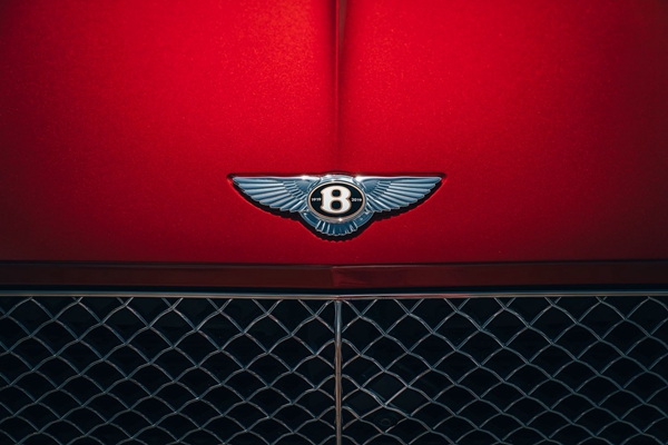 宾利双飞翼“B”字徽标 (9).jpg