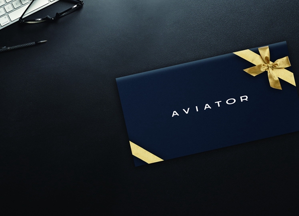 林肯飞行家预定客户专享精品礼物-2.jpg